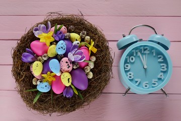 Obraz na płótnie Canvas Easter holiday. Large nest with multicolored Easter eggs , lilac crocus and yellow daffodil flowers And a blue alarm clock on a pink wooden background.Easter festive background.Spring season