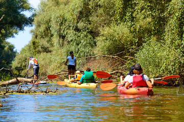 Group of friends (people) travel by kayaks. Kayaking in wilderness of Danube river in summer. Peacefull nature scene of calm river. Water tourism concept.