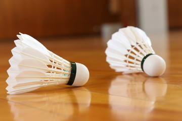 バドミントンのシャトル