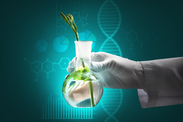 Scientist holding test flask with plant on dark background