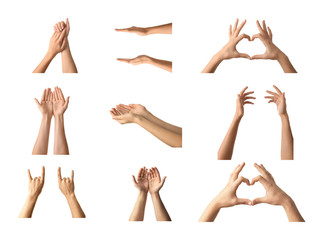 Gesturing female and male hands on white background