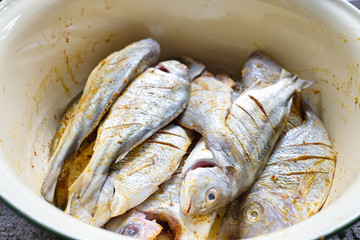 Raw fishes with turmeric powder on yellow steel basin ready for cooking.