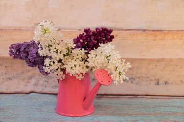 live lilac flowers in a watering can vase