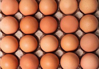 Brown fresh chicken eggs in paperboard container. Top view
