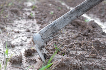 Spade is a tool for farmers to prepare soil for planting.