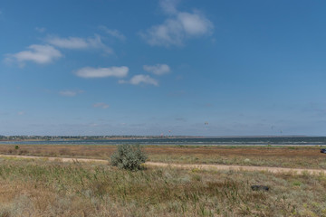 landscape with wheat field and blue sky