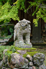 Fototapeta na wymiar 巌殿山正法寺の狛犬