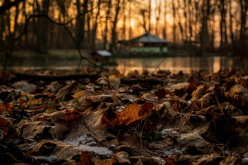 Herbst