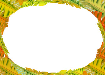 Cadre ovale feuilles de bananier 
