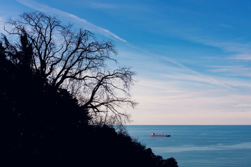 Silhouette of the trees on the hill, ship in the background