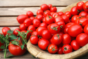Fresh tomato crop in a wooden bowl