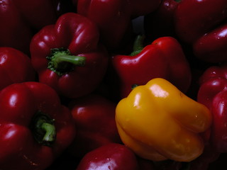 Papryka