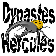 ヘラクレスオオカブトムシ Hercules Beetle