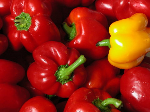 Papryka