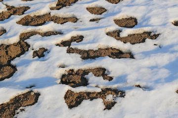 Snow begins to melt at the end of the winter