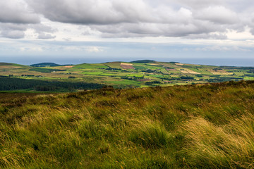 Colourful Irish hills landscape with a tall grass meadow, distant forests and land patches of different colours under a dramatic sky. Summer time in Wicklow Mountains, Ireland.