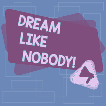 Text sign showing Dream Like Nobody. Conceptual photo wish for bigger things goals than everyone on planet Megaphone Inside Triangle and Blank Color Rectangle for Announcement