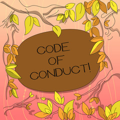Text sign showing Code Of Conduct. Conceptual photo Ethics rules moral codes ethical principles values respect Tree Branches Scattered with Leaves Surrounding Blank Color Text Space