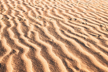 Close up of a wavy, ondulated sandy beach; golden light and sand, nobody around