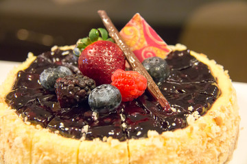 blueberry cheese cake fresh fruit on top