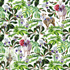 Watercolor seamless tropical pattern of  alpaca, ostrich and cartoon llama with pasque-flower, peony, orchid. Exotic leaves of schefflera, croton, monstera. Use as wallpaper, wrapping paper.