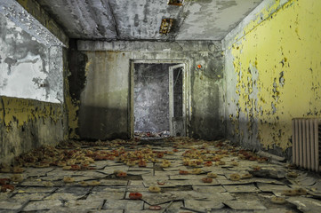 Fototapeta na wymiar Ukraina - Prypeć ( Pripyat )
