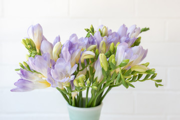 Closeup of purple freesia flowers in green vase against white wall (selective focus)