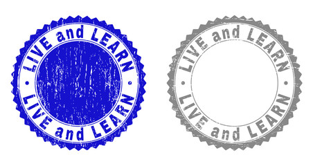 Grunge LIVE AND LEARN stamp seals isolated on a white background. Rosette seals with grunge texture in blue and gray colors. Vector rubber stamp imprint of LIVE AND LEARN tag inside round rosette.