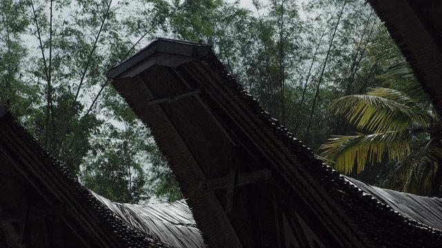 Traditional homes of the Toraja's people on Sulawesi island. Indonesia