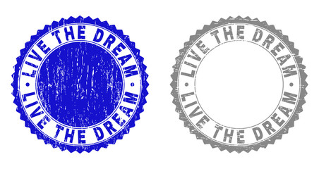 Grunge LIVE THE DREAM stamp seals isolated on a white background. Rosette seals with grunge texture in blue and grey colors. Vector rubber stamp imitation of LIVE THE DREAM text inside round rosette.