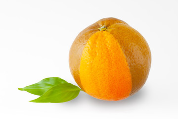 frische Schokoladen Orange, isoliert , ganze Frucht