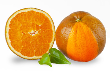 frische Schokoladen Orange, isoliert , Nahaufnahme