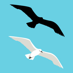 gull in flight ,vector illustration ,flat style, silhouette