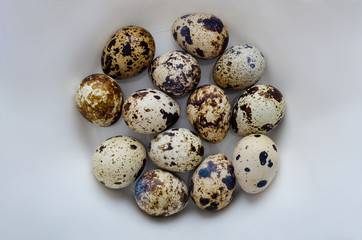 Fototapeta premium Quail eggs