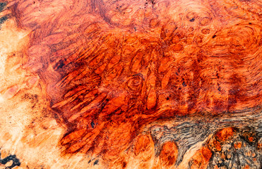 Afzelia burl wood striped exotic wooden beautiful pattern for crafts or abstract art background 