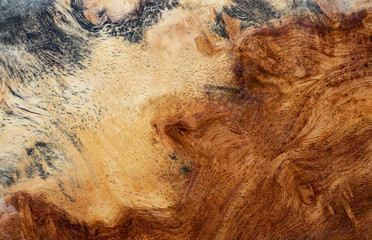 Afzelia burl wood striped