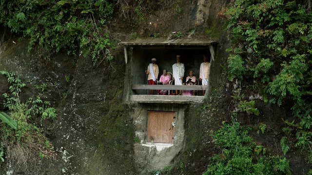 Famous funeral of Tana Toraja.Typical Toraja tombs in a vertical rock wall carved with traditional puppets in memory of the dead, Toraja Land, Sulawesi, Indonesia