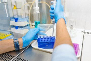 Scientist hands with dropper or pipette, examining samples and liquid