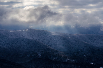 Fototapeta premium zimowe bieszczadzkie lasy 