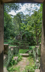 Ruins overgrown with lush jungle vegetation and moss in a beautiful stone frame