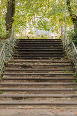 Stone steps in garden