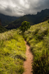 The Tugela Gorge hiking trail leading along a brightly lit hillside towards the Amphitheatre Mountain in the Drakensberg, South Africa © Jennifer
