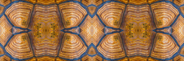 Turtle carapace, Close up texture and pattern of turtle shell in panoramic view use for web design and abstract background