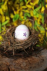 osterei im osternest