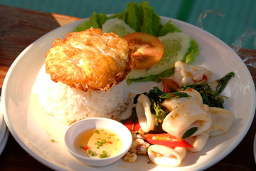 Spicy fried squid with green basil leaf and crispy fried egg over steamed rice with fish sauce and cucumber, lettuce vegetable side dish on white plate