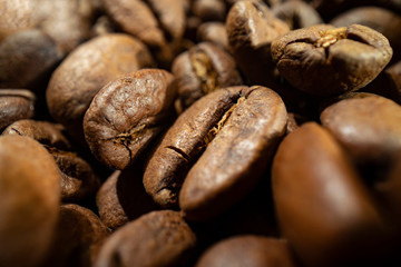 Coffee beans close up