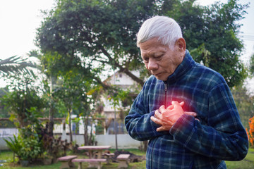 Elderly man suffering from chest pain at his garden. Healthcare Concept.