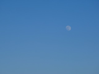 Naklejka na ściany i meble 夕暮れの月が浮かぶ青空