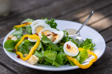 Fresh healthy salad on wooden table