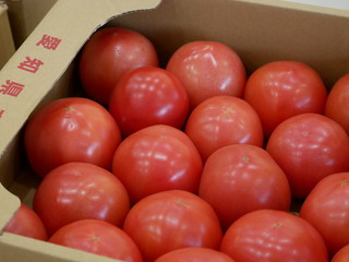 日本　愛知県産　箱詰めのトマト